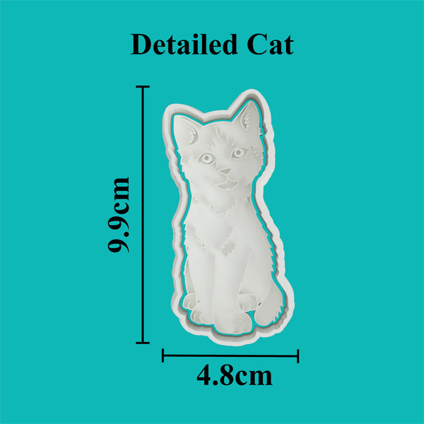 Detailed Cat