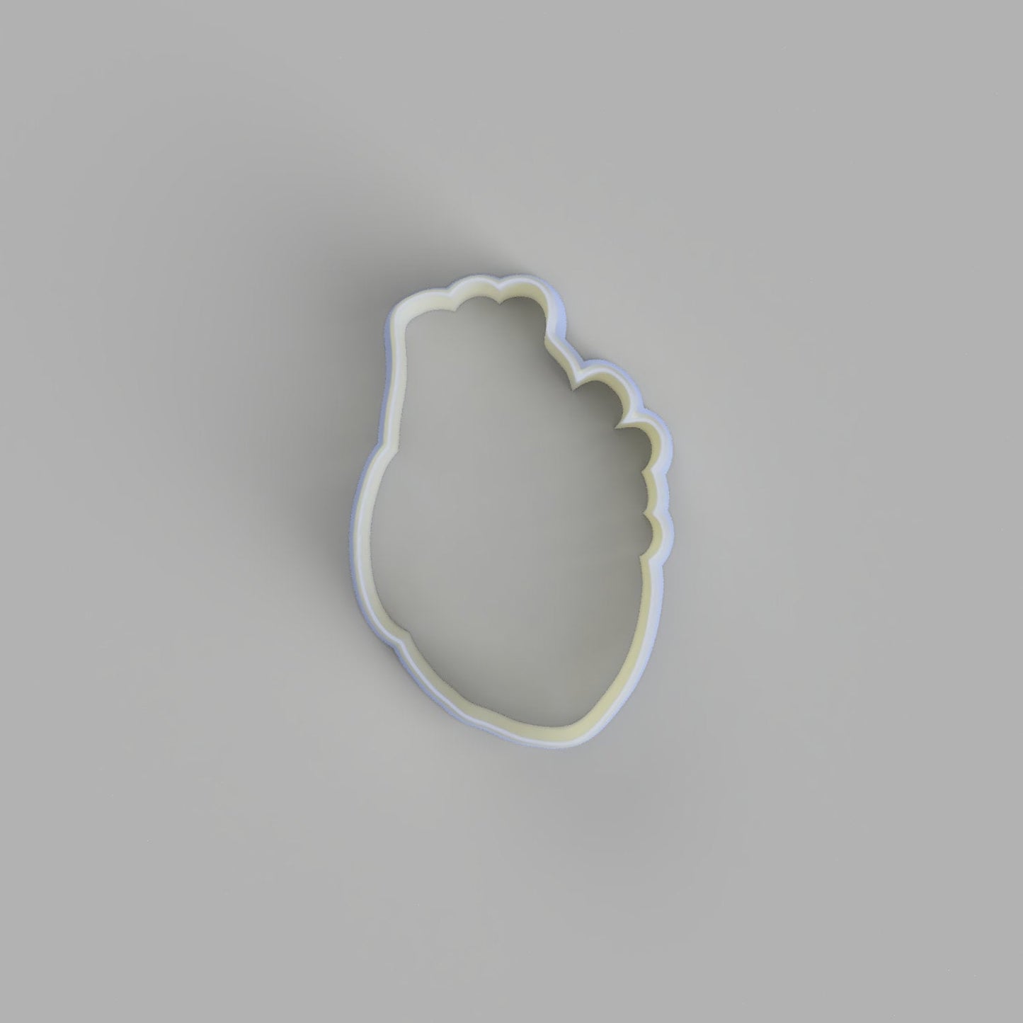 Heart anatomy Cookie Cutter and Embosser - just-little-luxuries
