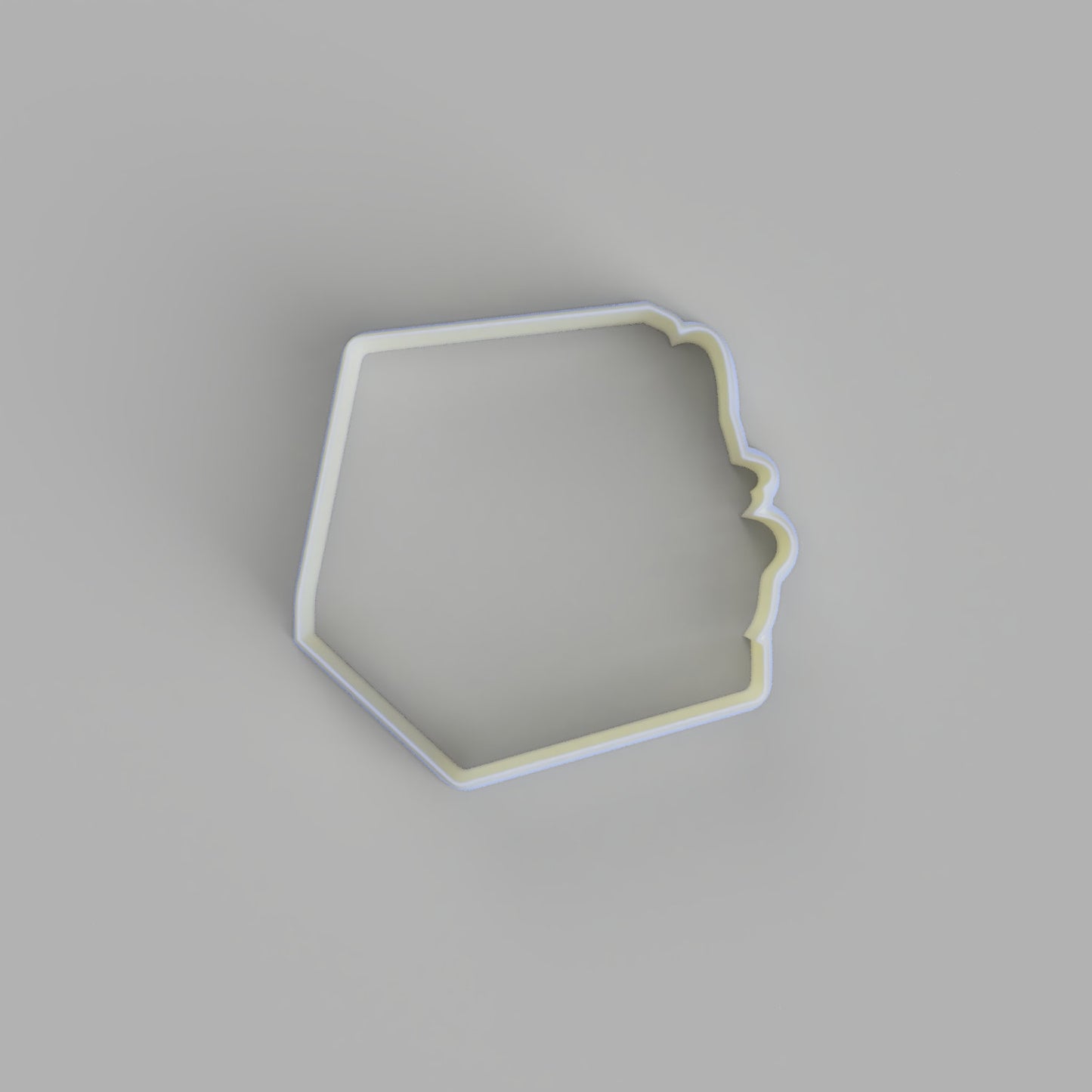 Cat in Pizza Box Cookie Cutter and Embosser. - just-little-luxuries