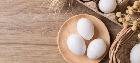 How Eggs Influence Sugar Cookie Texture and Flavour