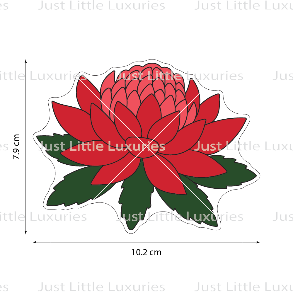 Waratah Cookie Cutter | Native Florals - Mother's Day