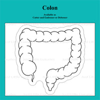 Colon Cookie Cutter and Embosser/debosser