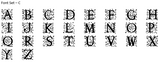 Monogram Raised 3D Cookie Embosser. Font Type C - just-little-luxuries