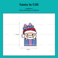 The Cute Santa Collection - Santa in Gift
